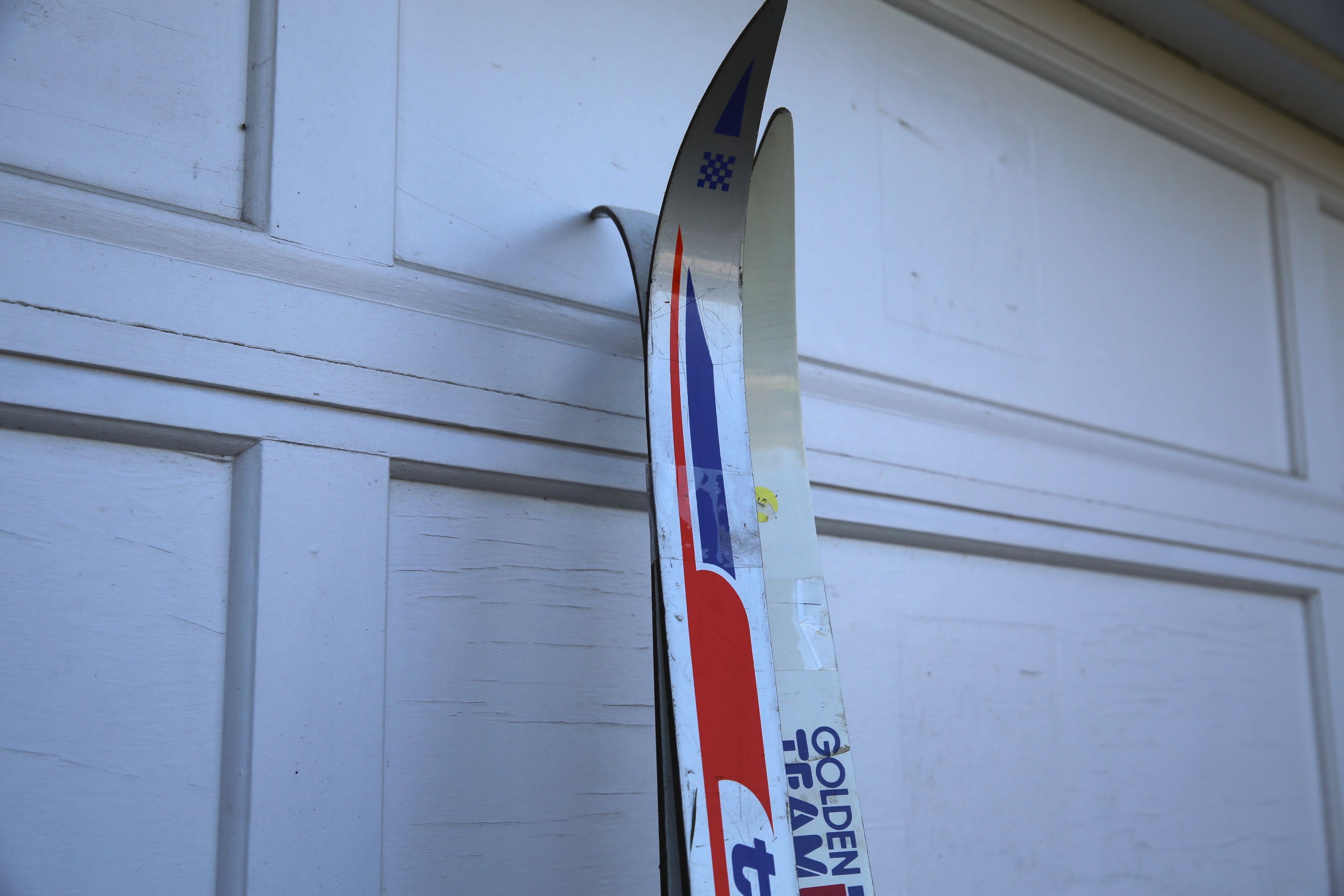 Adult Skis