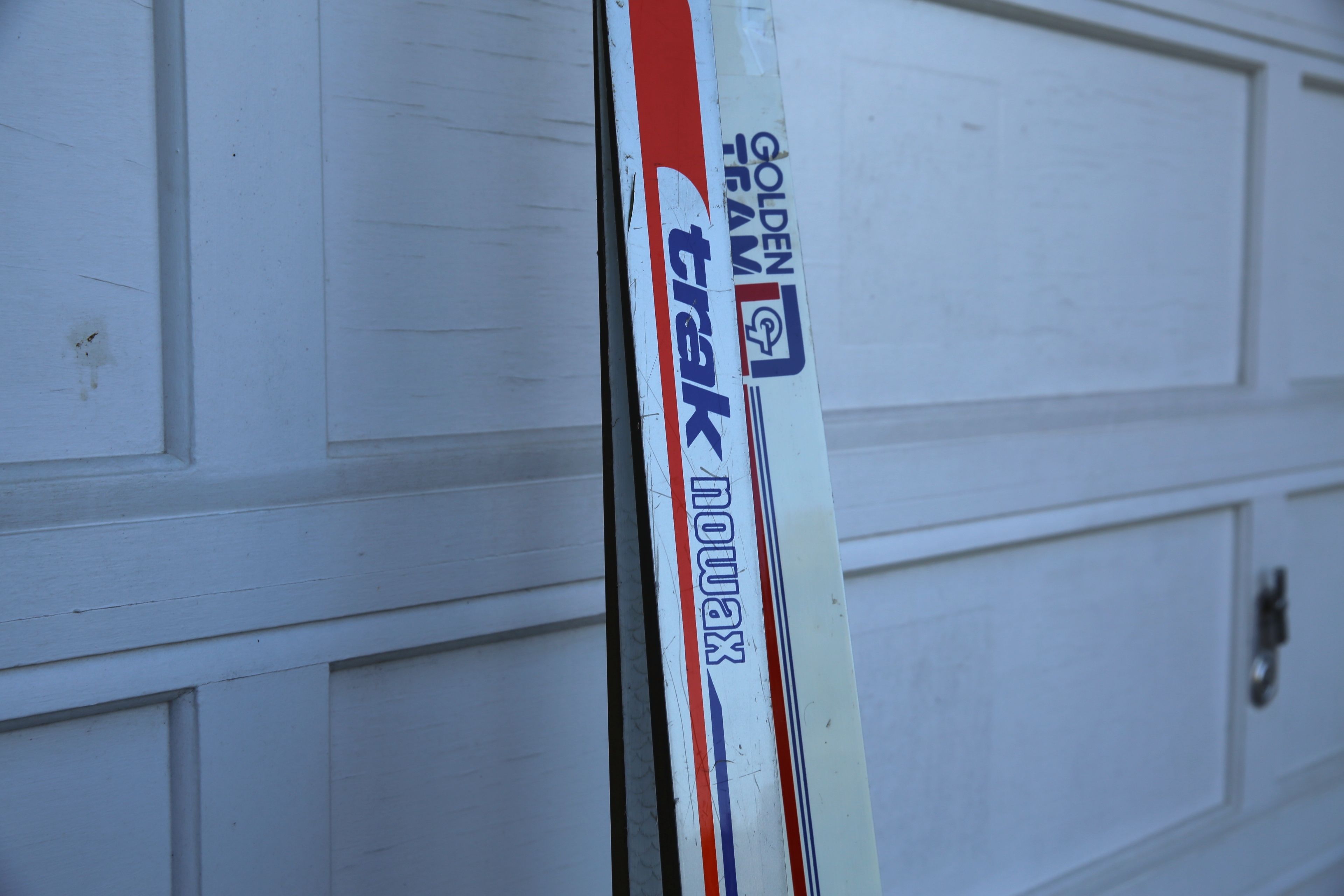 Adult Skis