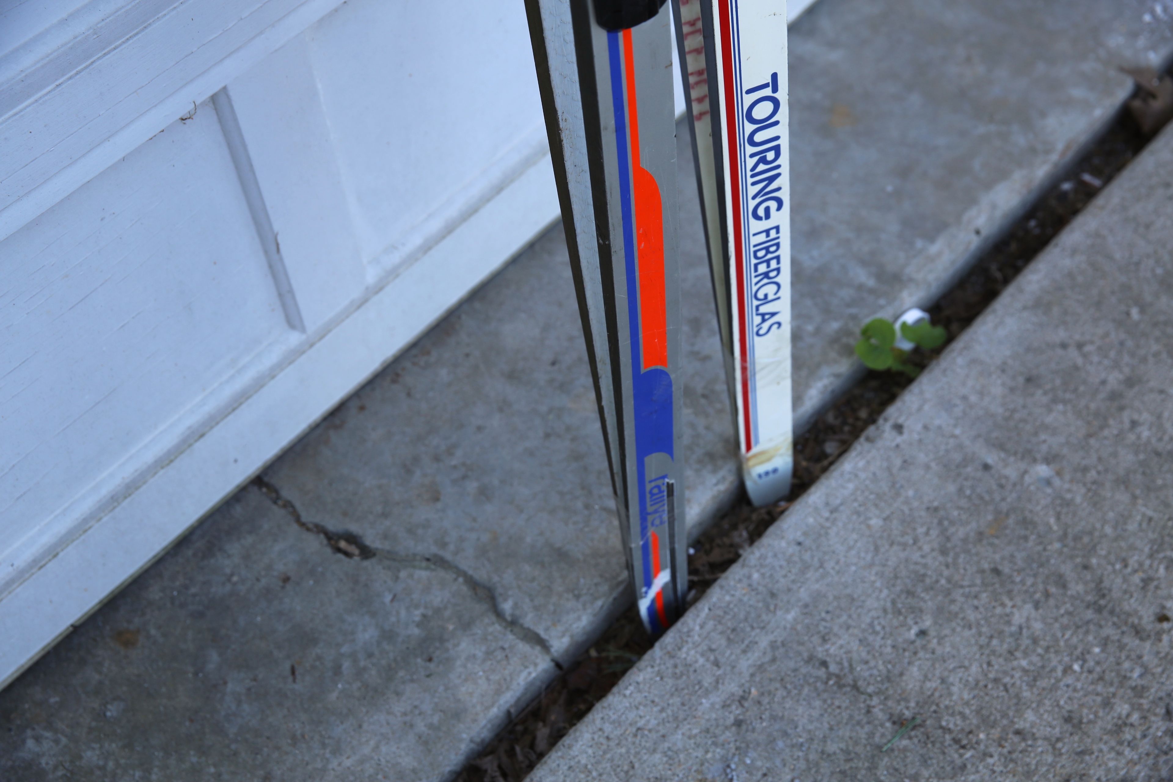Adult Skis
