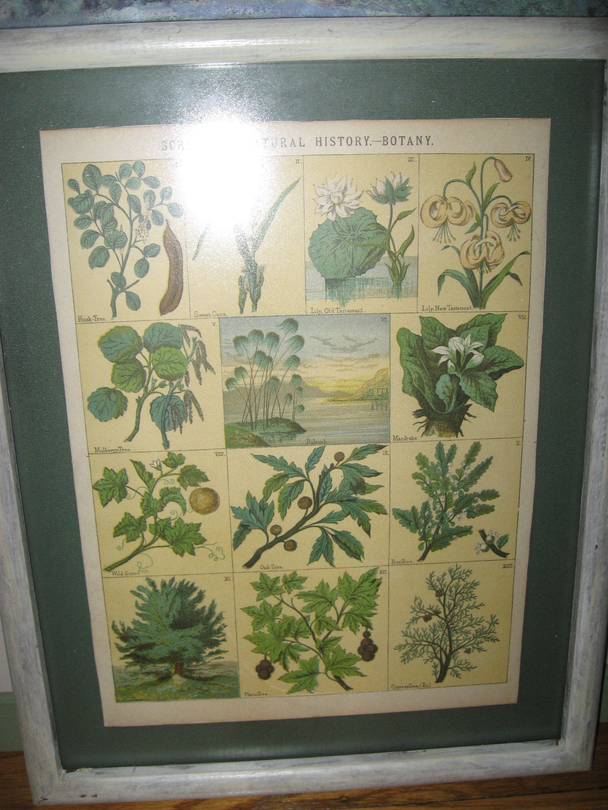 Wall Furnishings and Frames