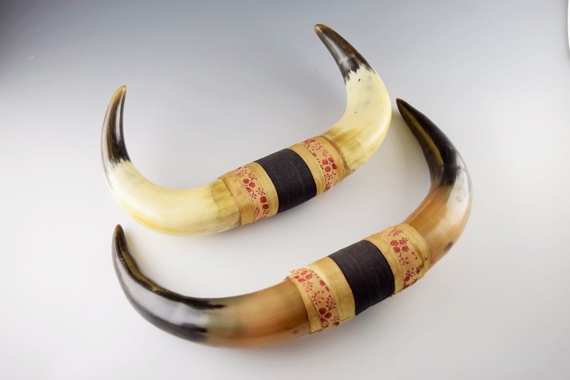 A Pair of Vintage Bull Horns 