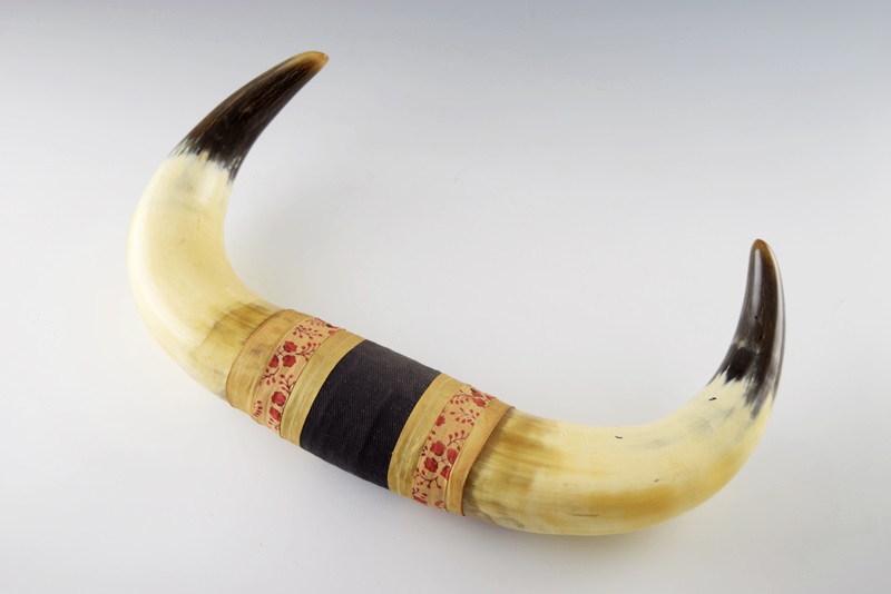 A Pair of Vintage Bull Horns 