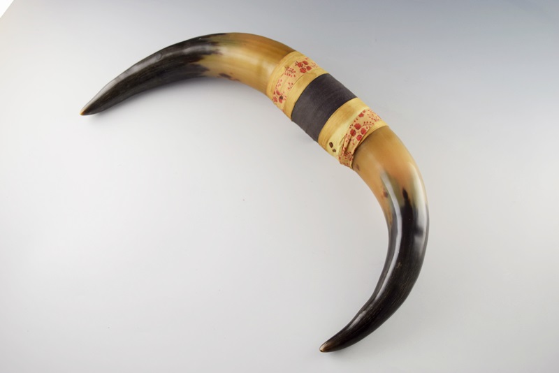 A Pair of Vintage Bull Horns 