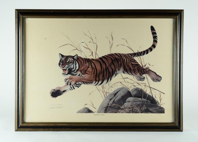 Signed John Ruthven "Bengal Tiger" Offset Lithographic Print
