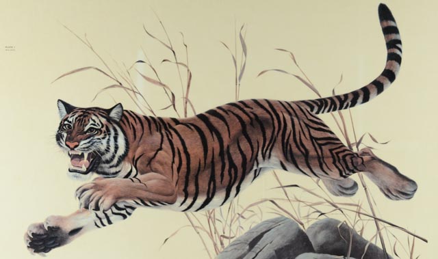 Signed John Ruthven "Bengal Tiger" Offset Lithographic Print