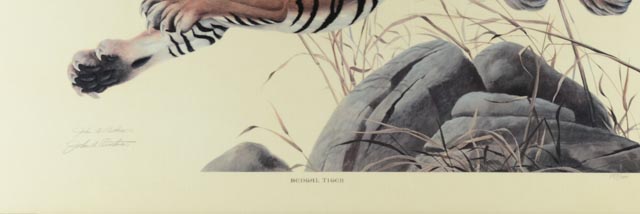 Signed John Ruthven "Bengal Tiger" Offset Lithographic Print