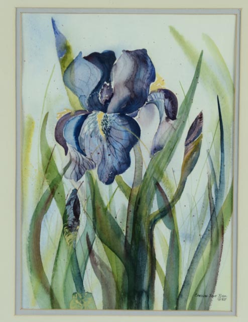 Framed Iris Watercolor by Carolyn Scott Risk