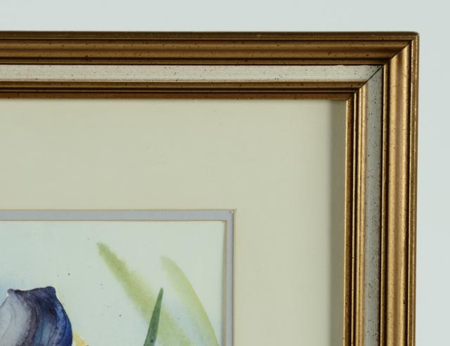 Framed Iris Watercolor by Carolyn Scott Risk