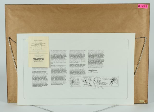 Paul Bosman Signed and Numbered Lithography Print "Ndlulamithi"