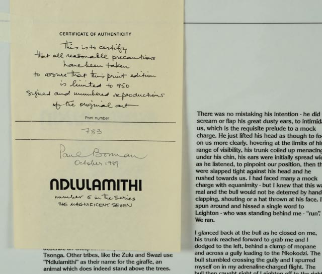 Paul Bosman Signed and Numbered Lithography Print "Ndlulamithi"