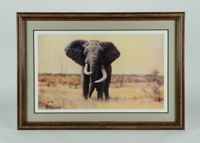 Paul Bosman Signed and Numbered Lithography Print "Ndlulamithi"