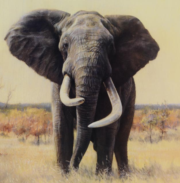 Paul Bosman Signed and Numbered Lithography Print "Ndlulamithi"