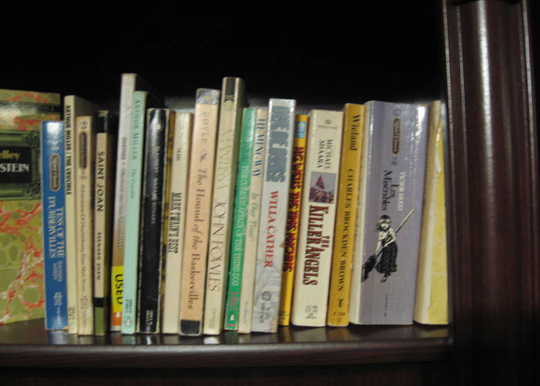 Collection of Modern Fiction in Hardcover