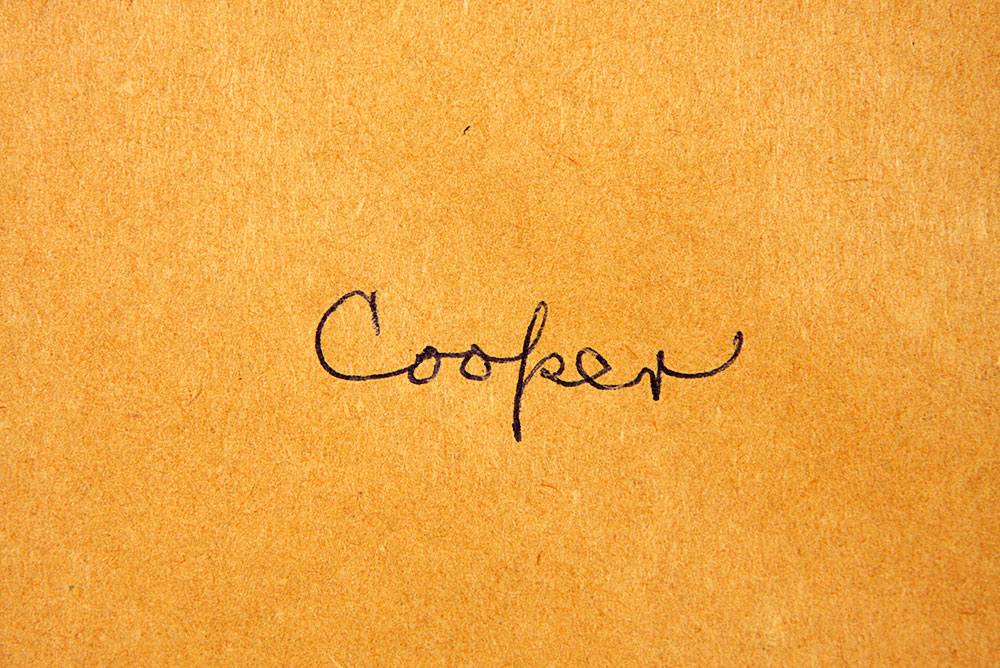 Original Signed Watercolor by Sally Clay Lanham