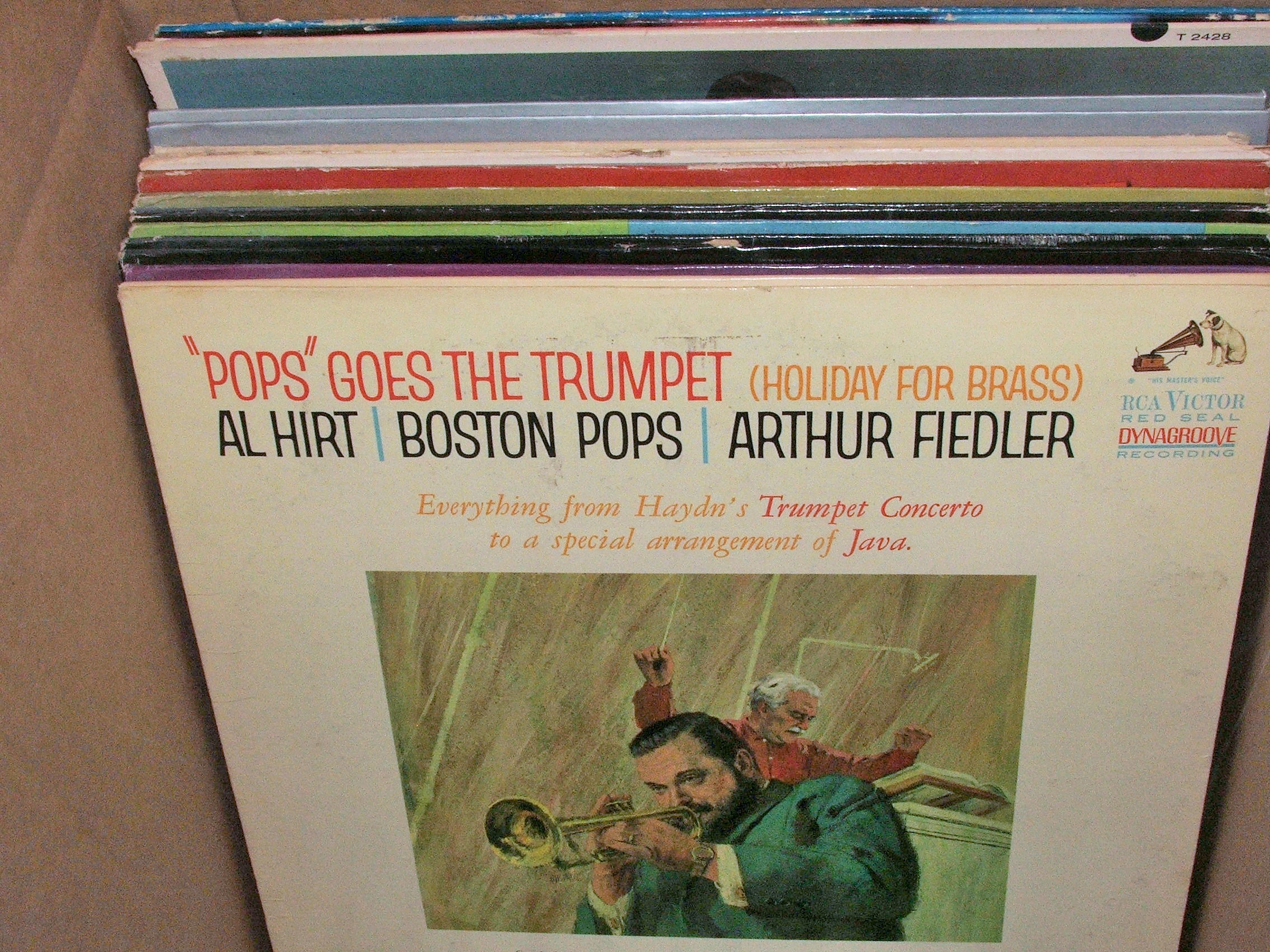 Vinyl Album Assortment