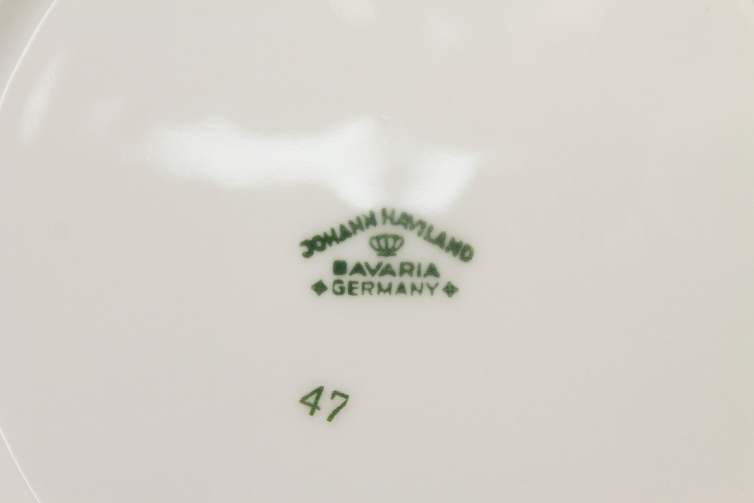 Johann Haviland Bavaria Sepia Rose China Set