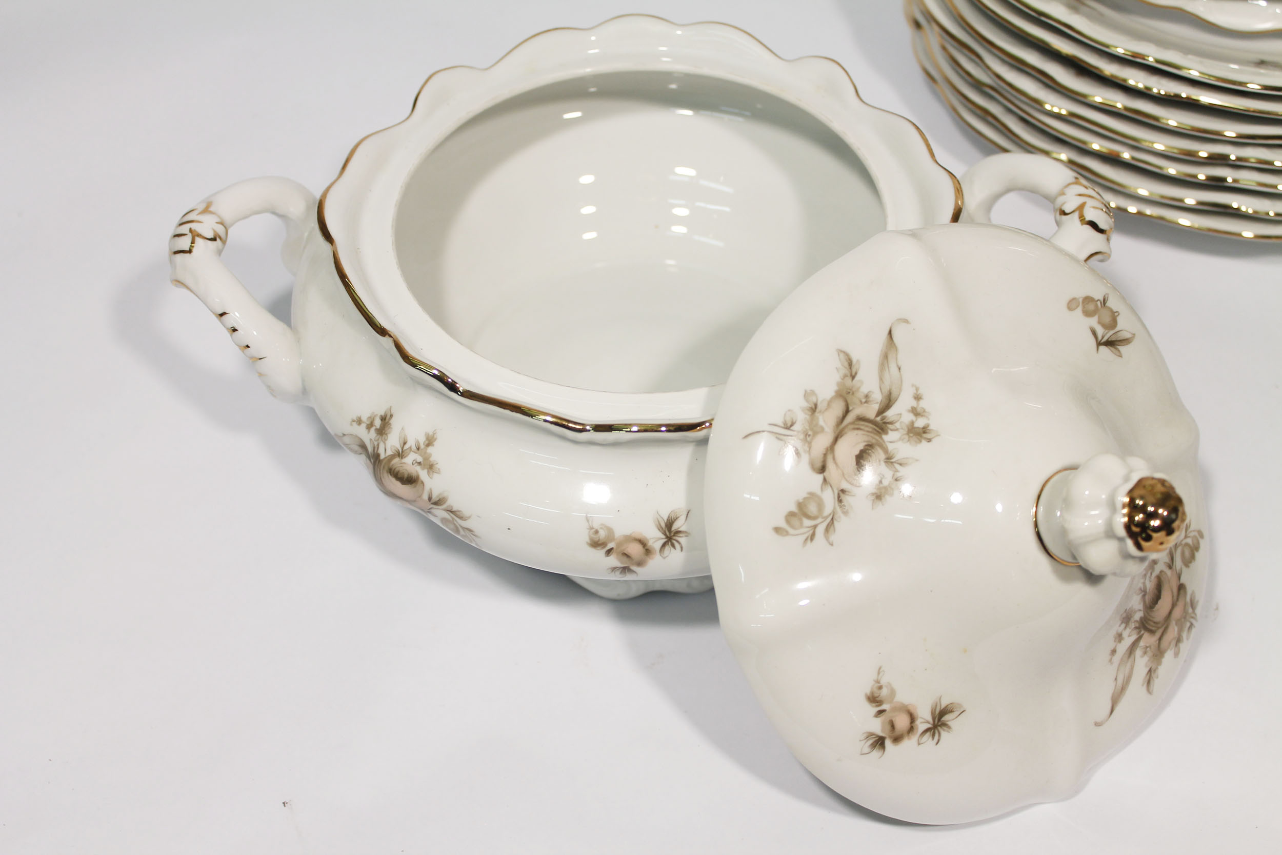 Johann Haviland Bavaria Sepia Rose China Set