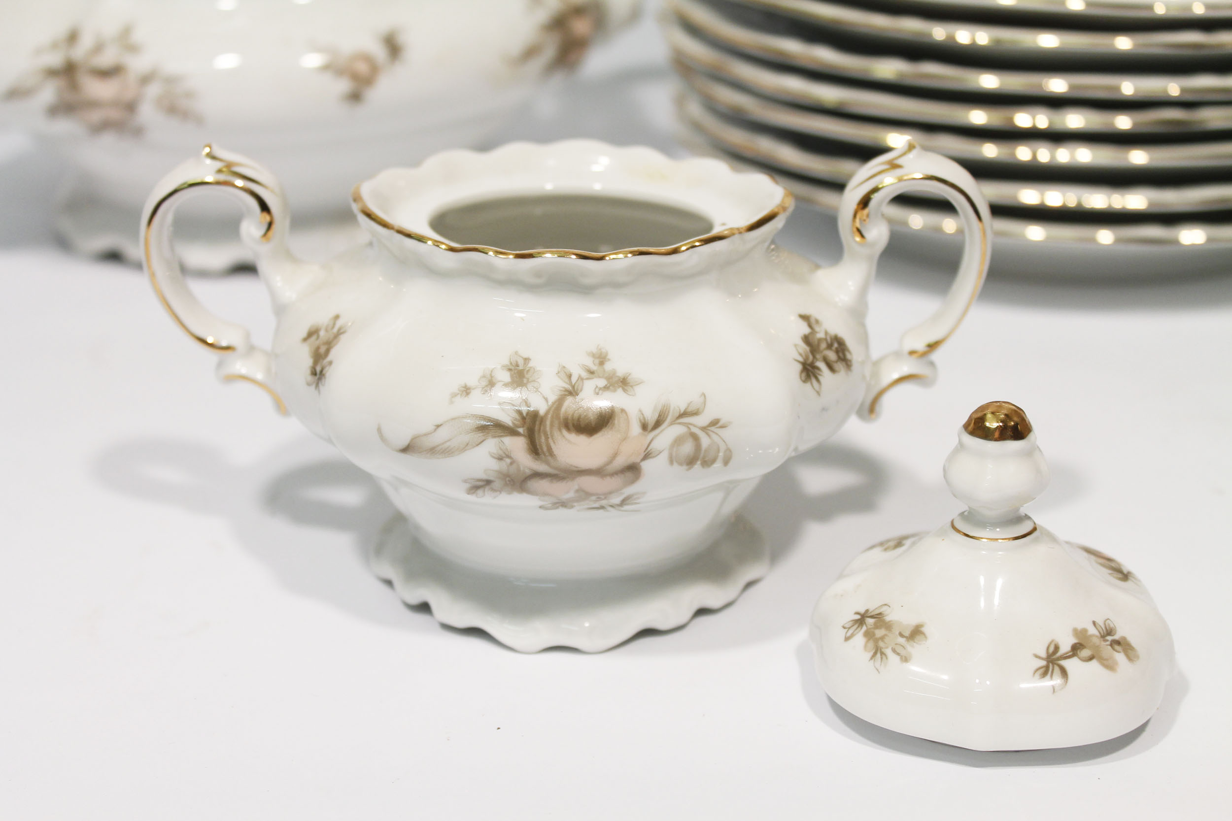 Johann Haviland Bavaria Sepia Rose China Set