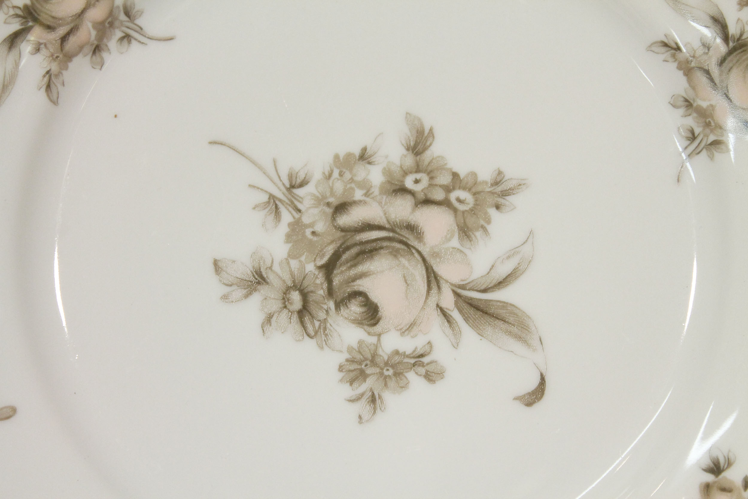 Johann Haviland Bavaria Sepia Rose China Set