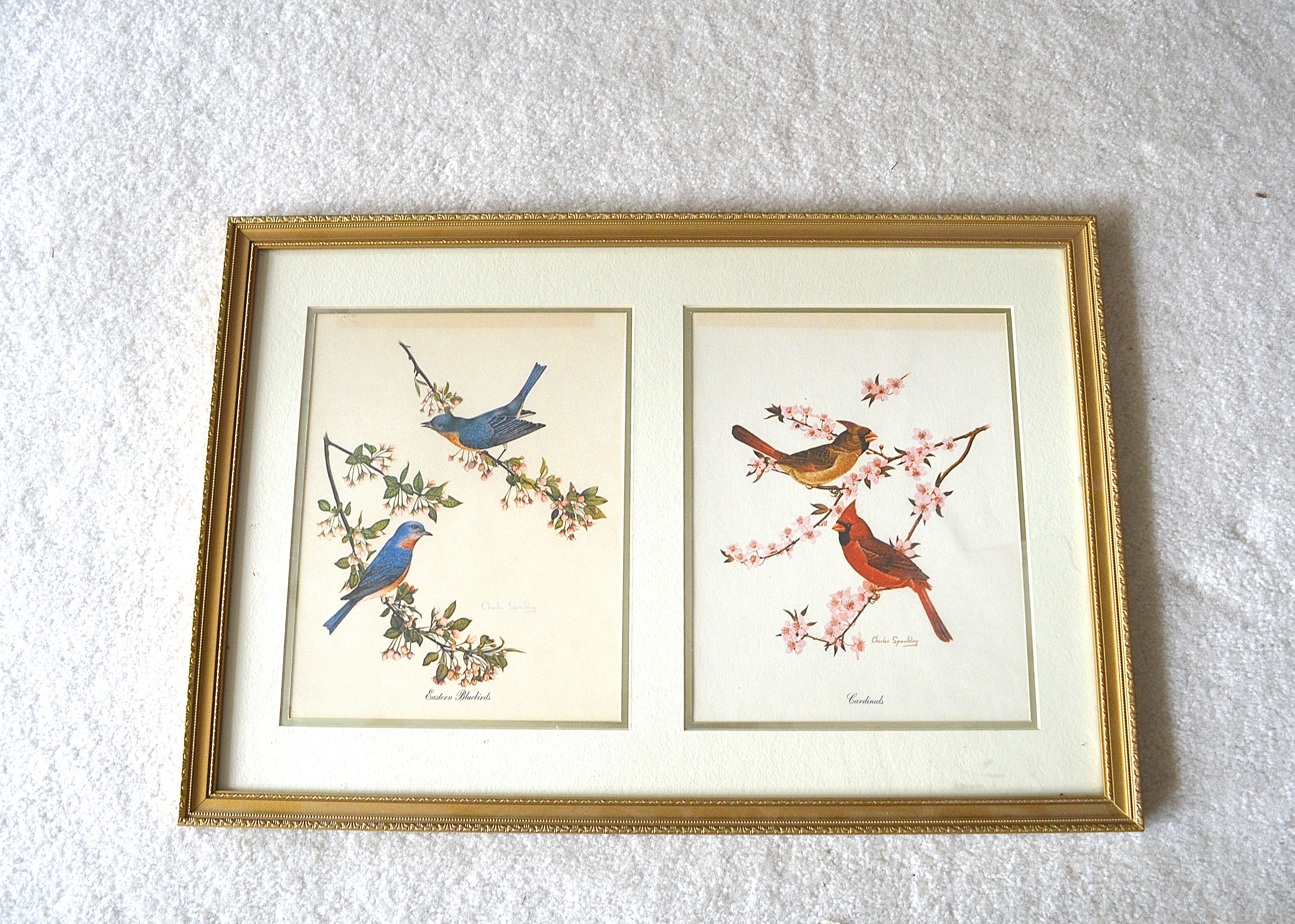 Framed Pair of Bird Prints by Lexington Artist Charles Spaulding