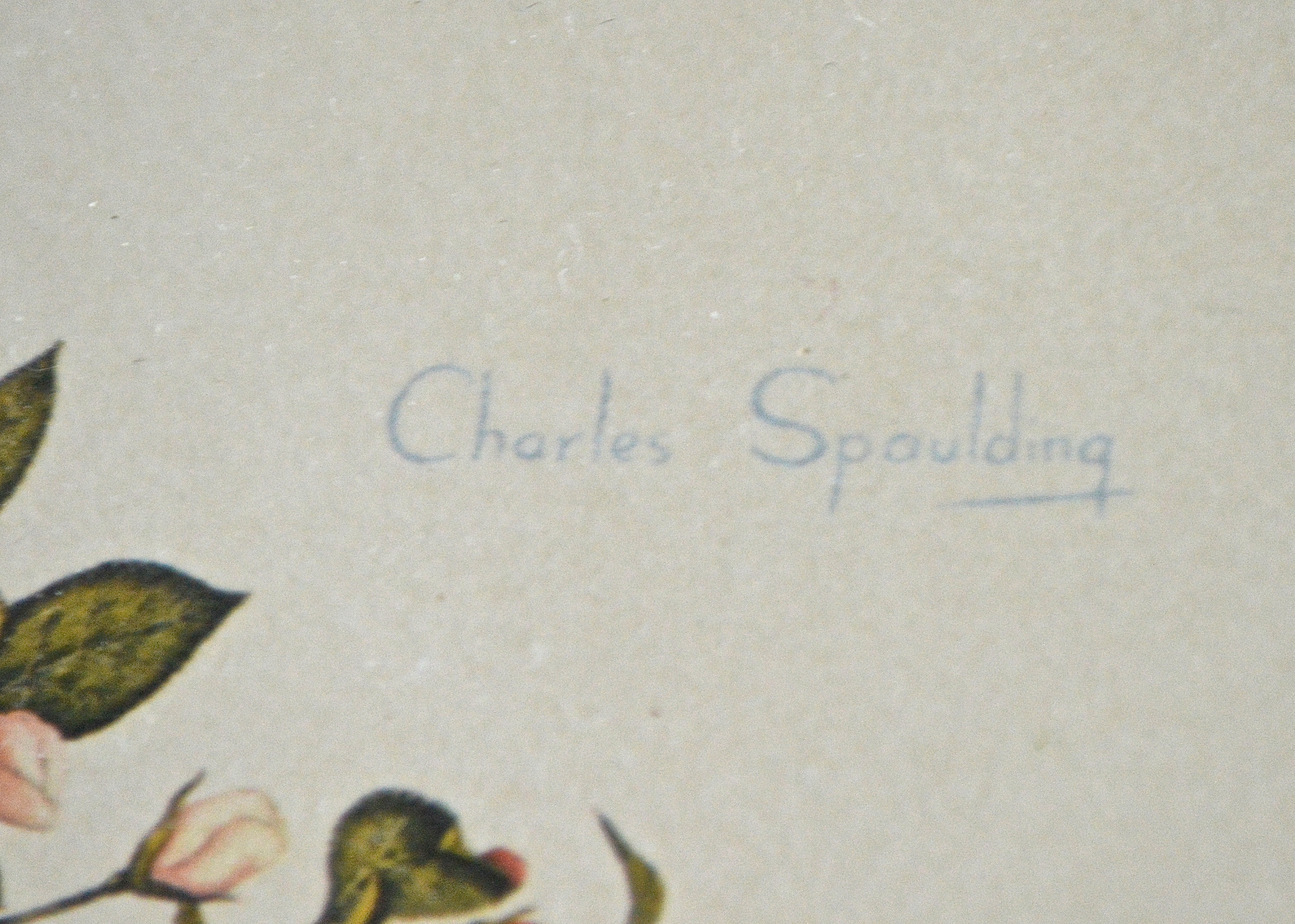 Framed Pair of Bird Prints by Lexington Artist Charles Spaulding