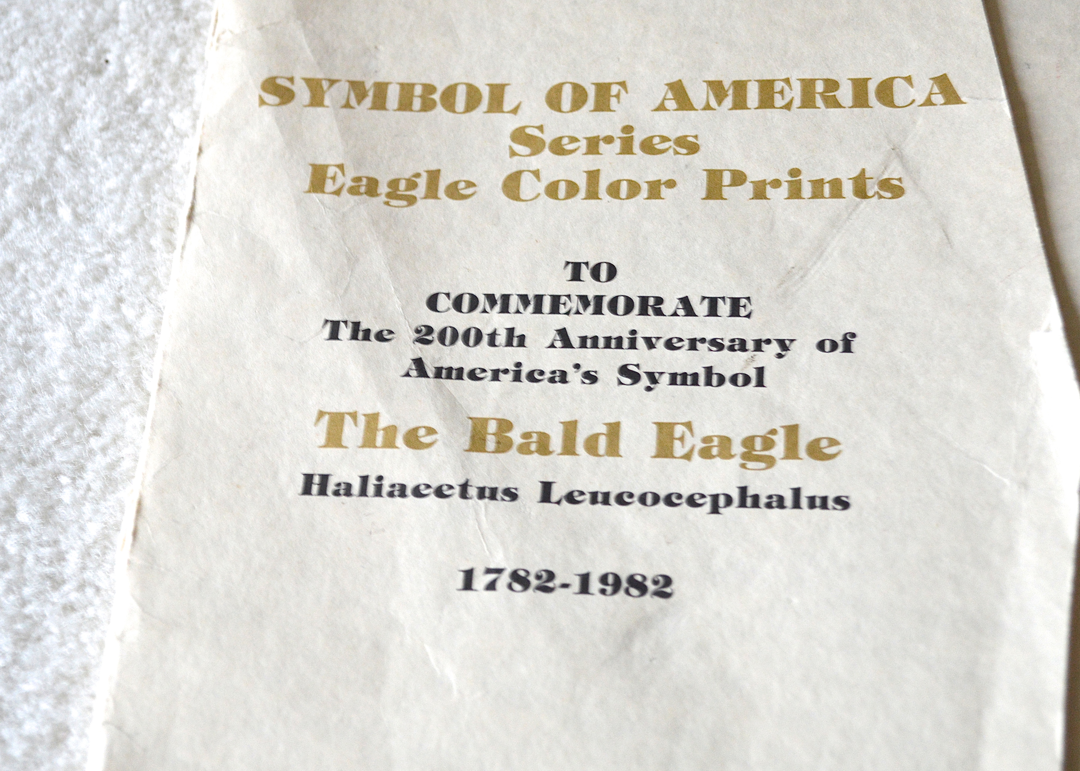 Unframed Prints by Audubon and Vintage Eagle Prints