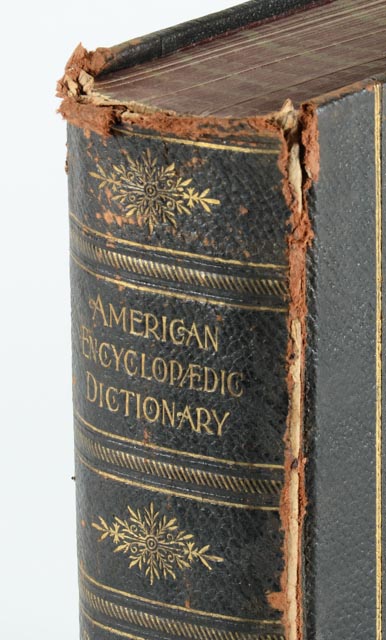 1896 "The American Encyclopedic Dictionary"