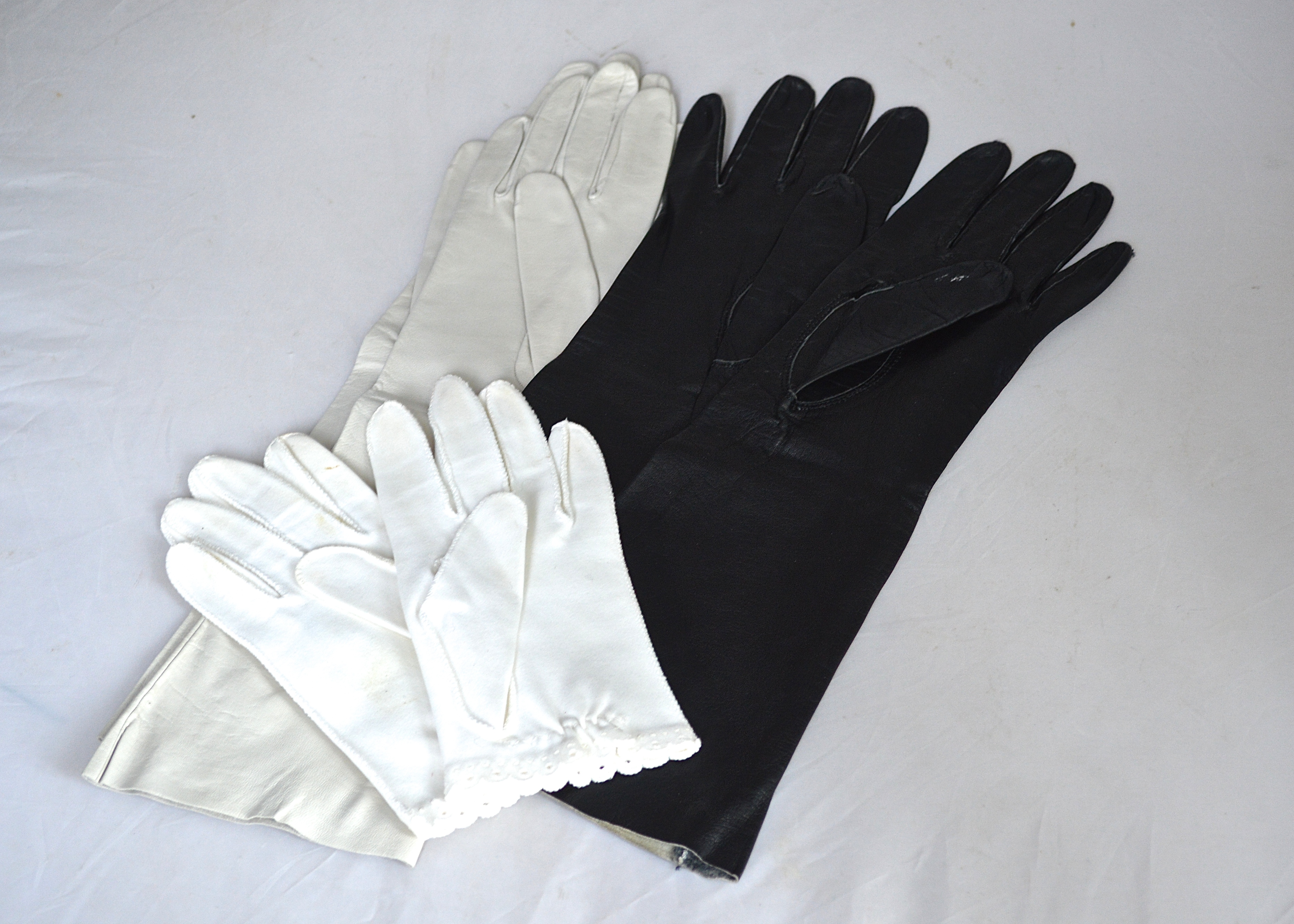 Collection of Women's Fashionable Gloves