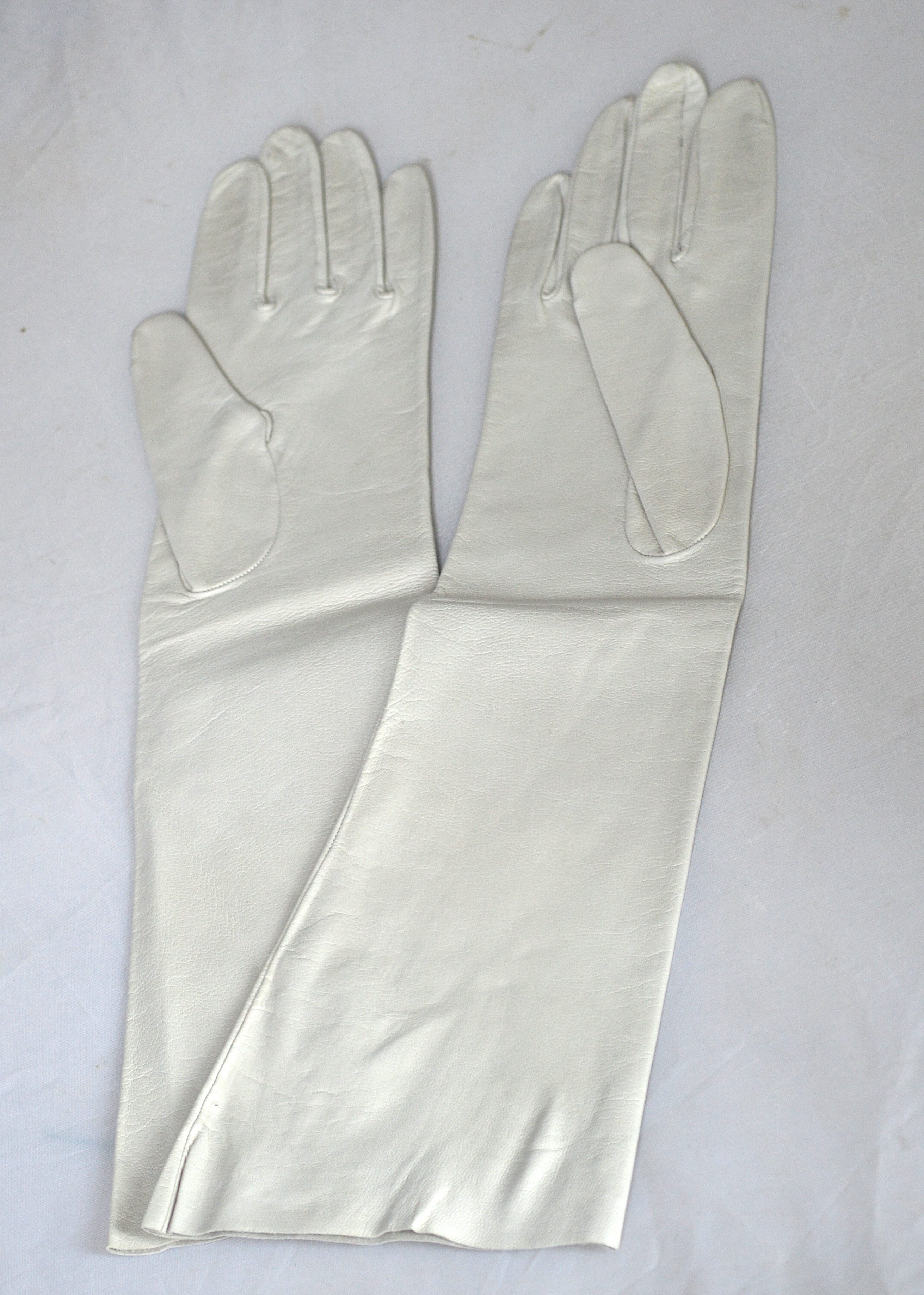 Collection of Women's Fashionable Gloves