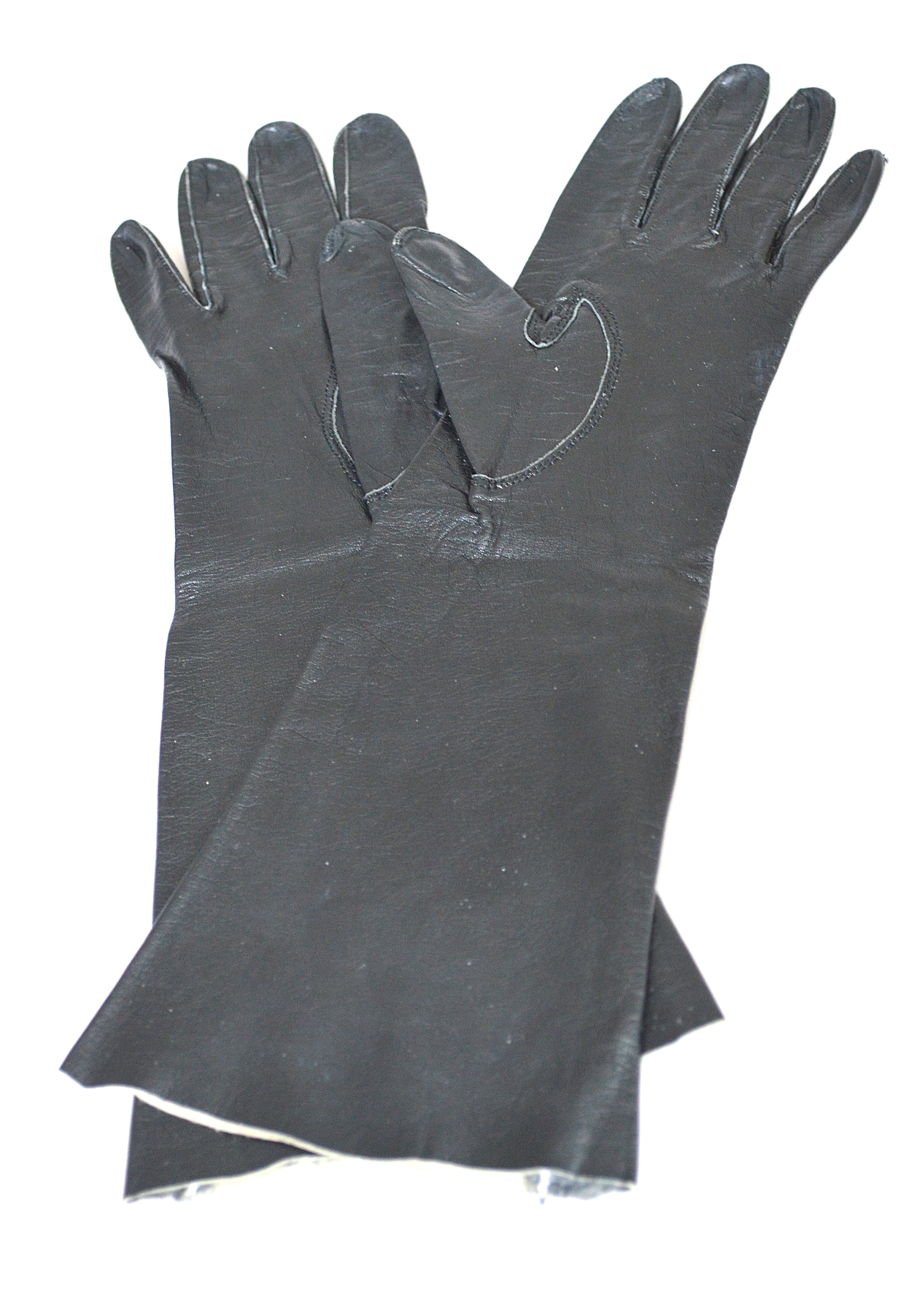 Collection of Women's Fashionable Gloves