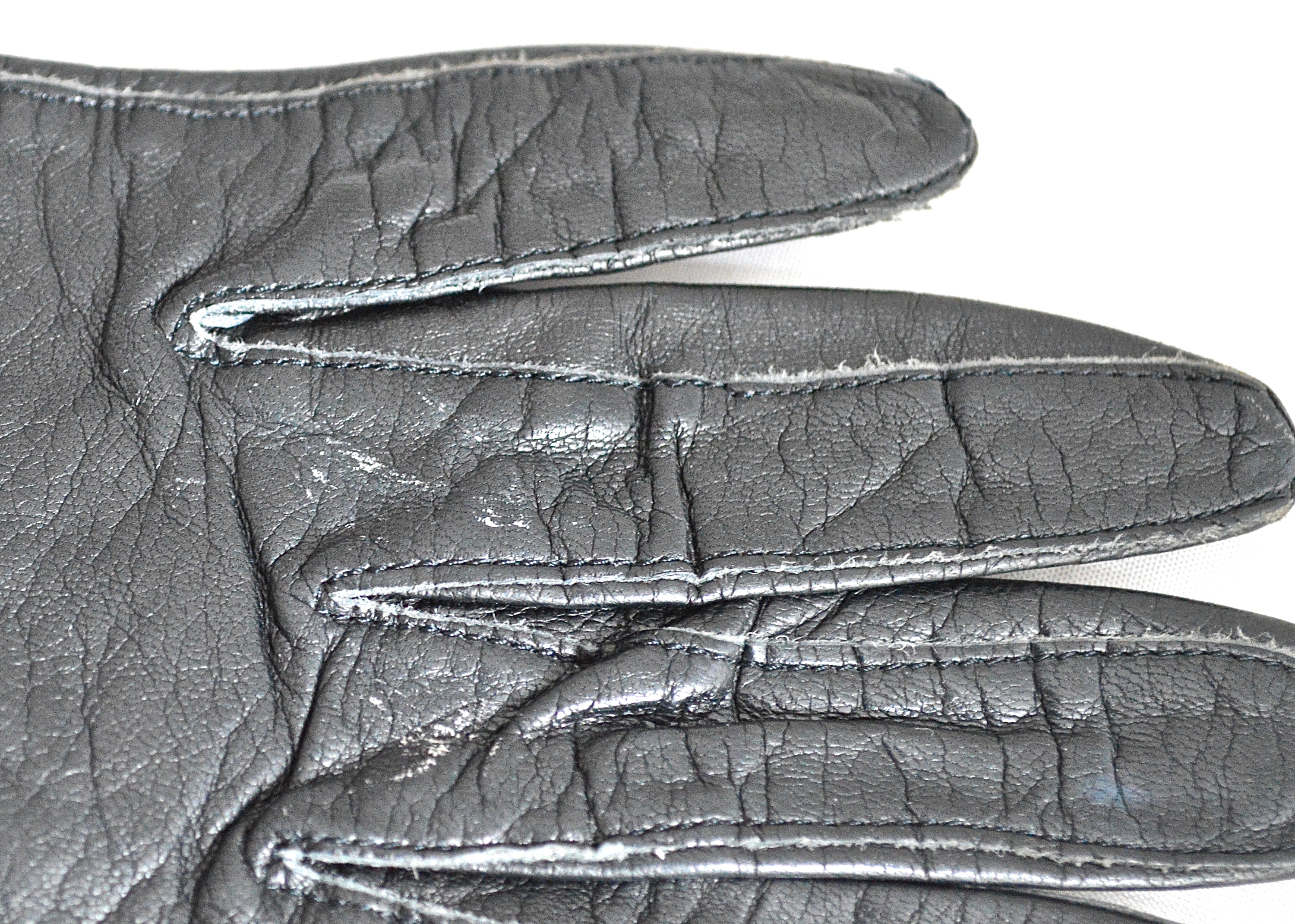 Collection of Women's Fashionable Gloves