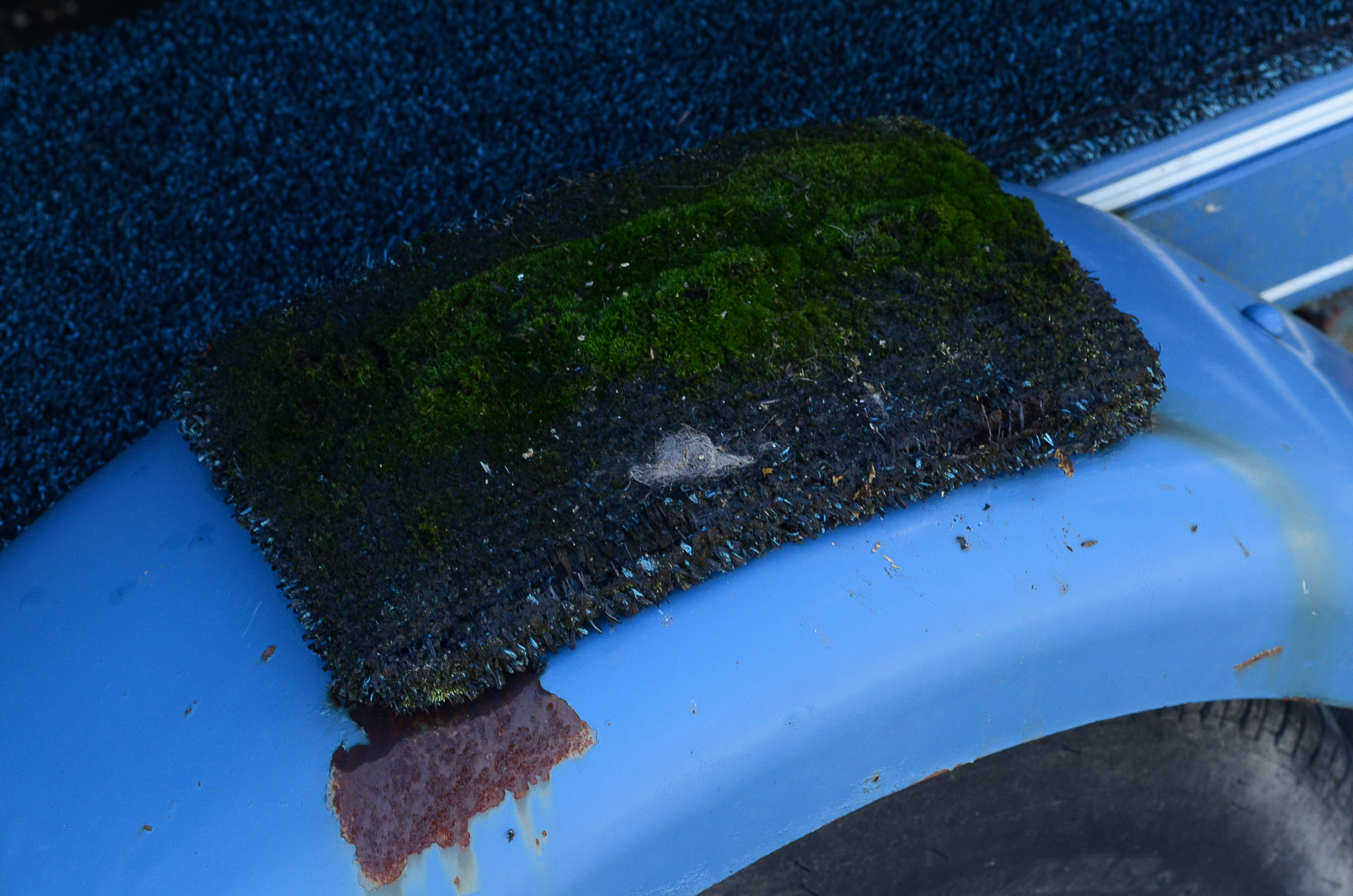 1972 Winner "Marauder" Outboard Runabout 