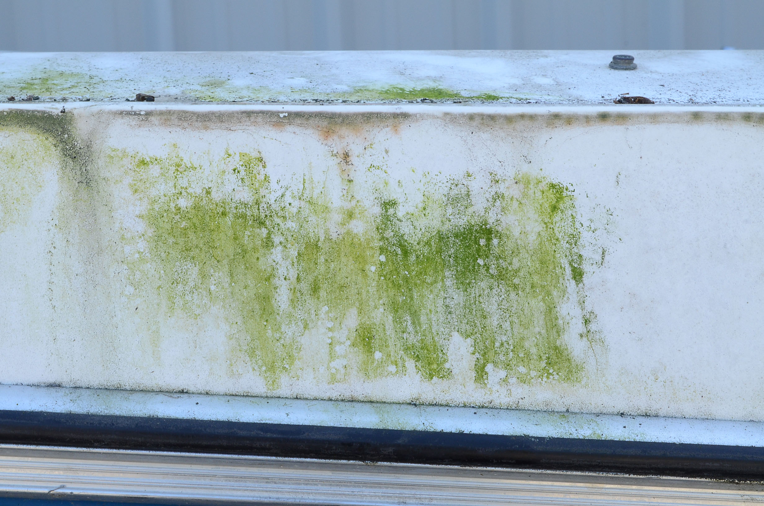 1972 Winner "Marauder" Outboard Runabout 