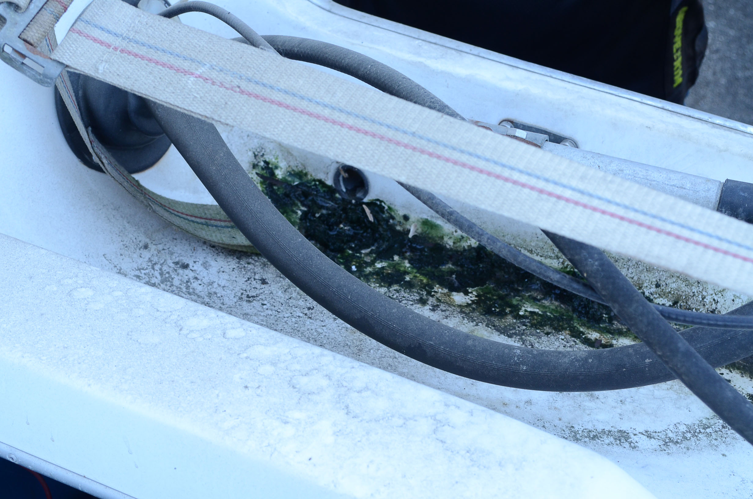 1972 Winner "Marauder" Outboard Runabout 