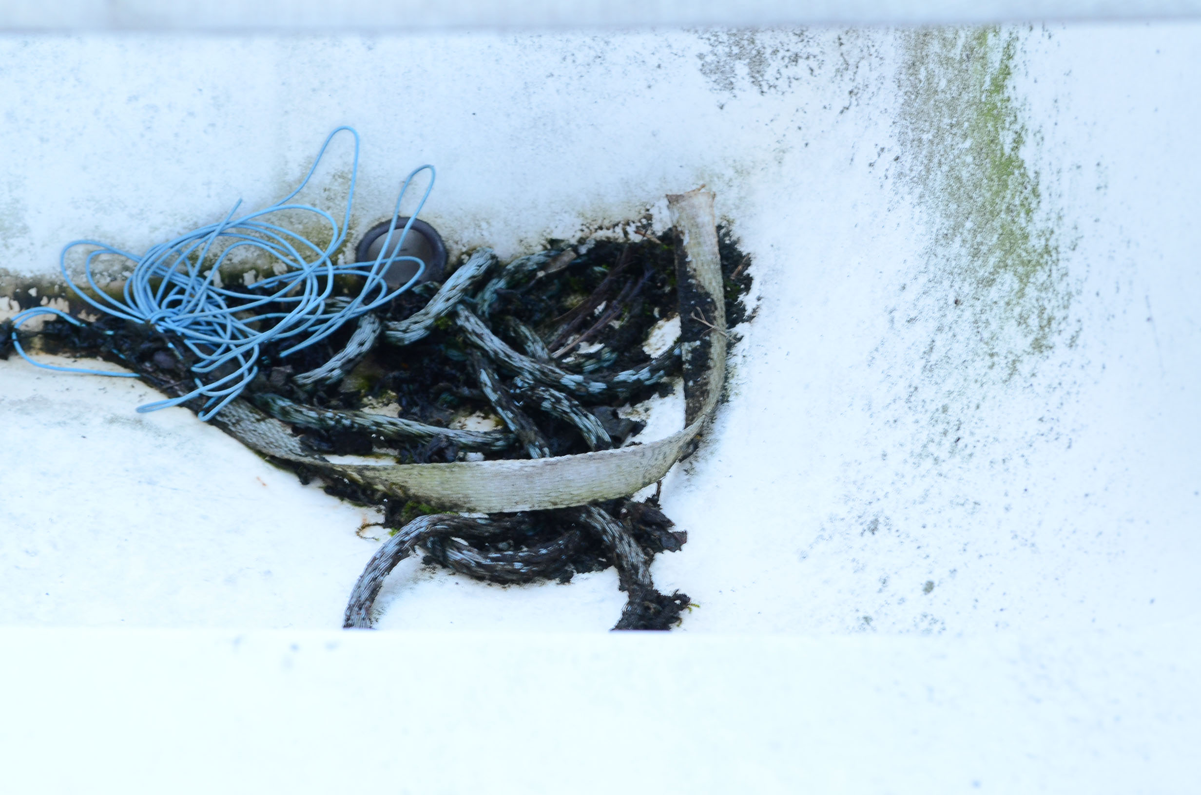 1972 Winner "Marauder" Outboard Runabout 