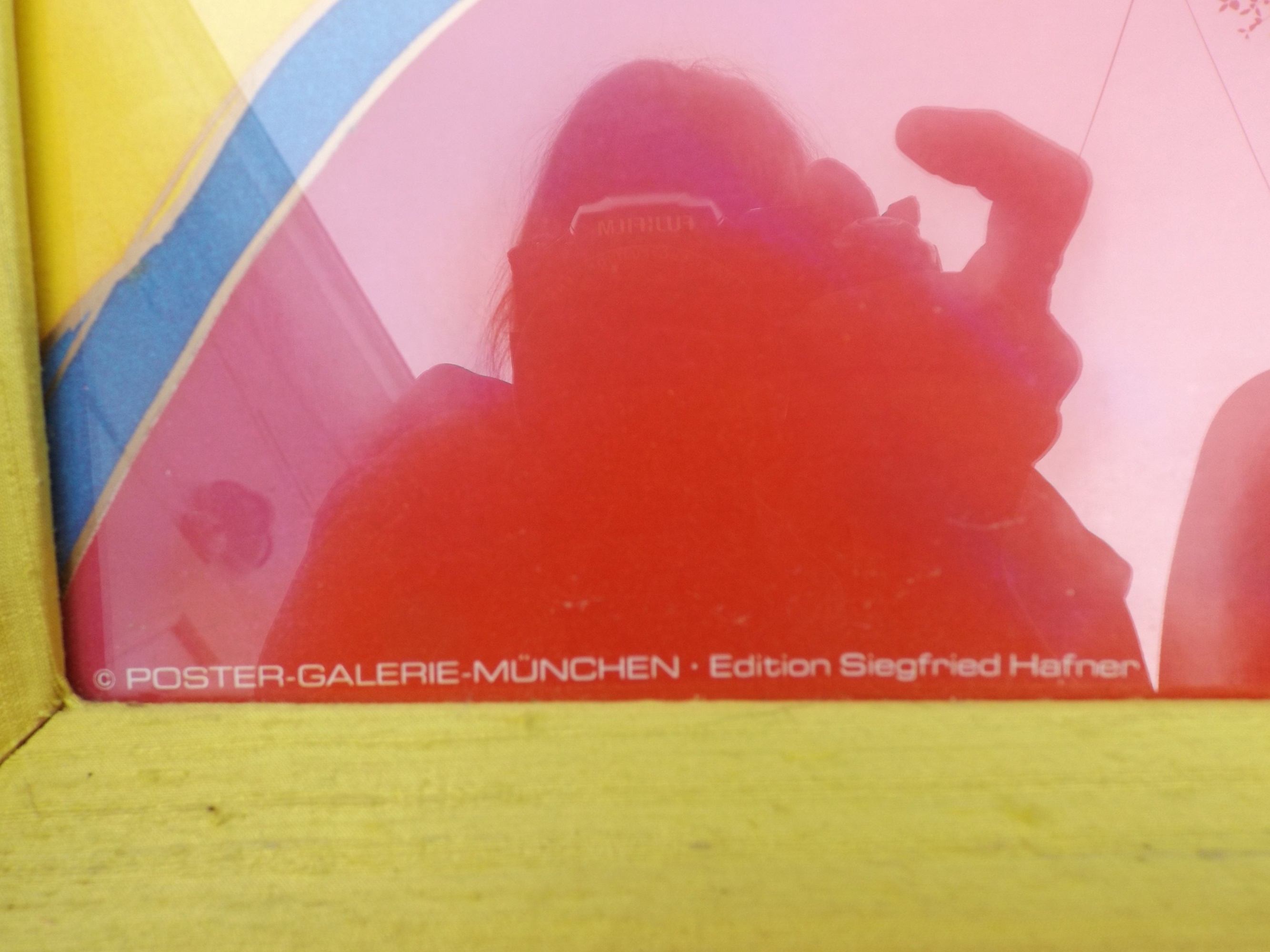 Suzanne May Offset Lithographic Poster Exploding Tulips