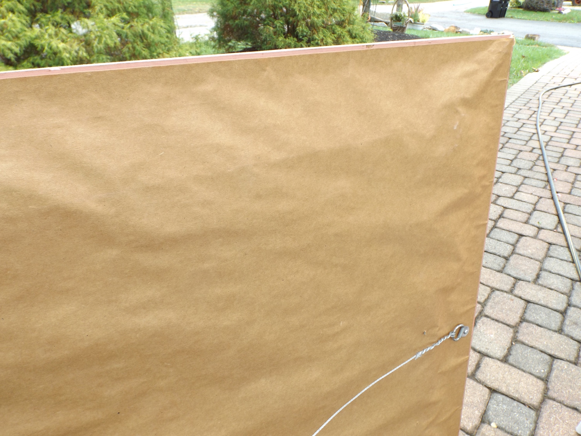 Suzanne May Offset Lithographic Poster Exploding Tulips