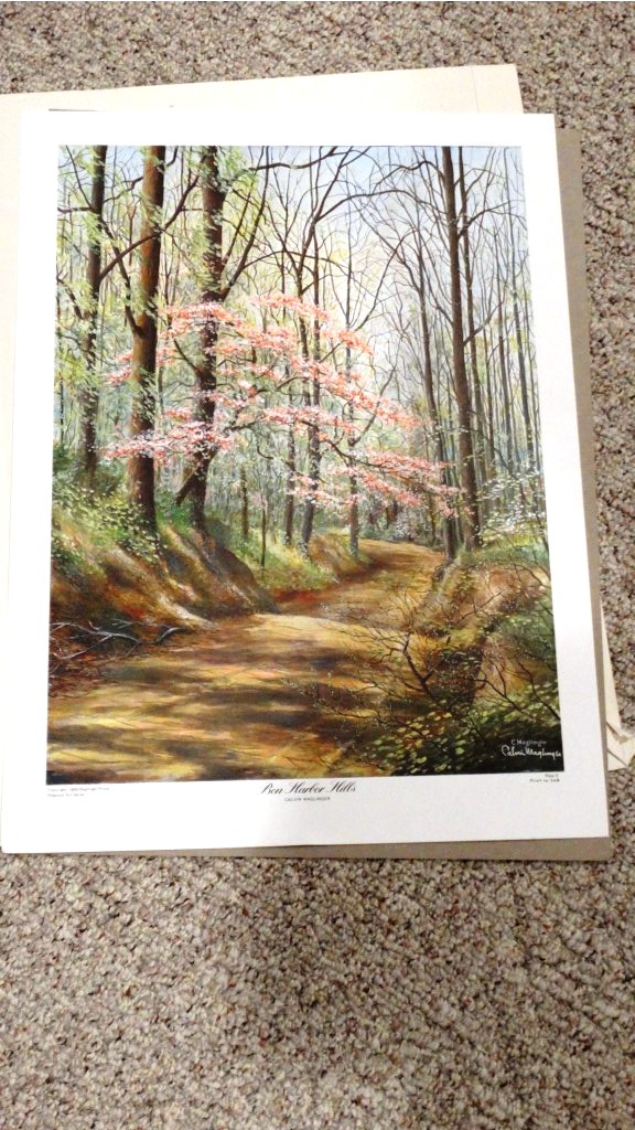 Calvin Maglinger Unframed Prints