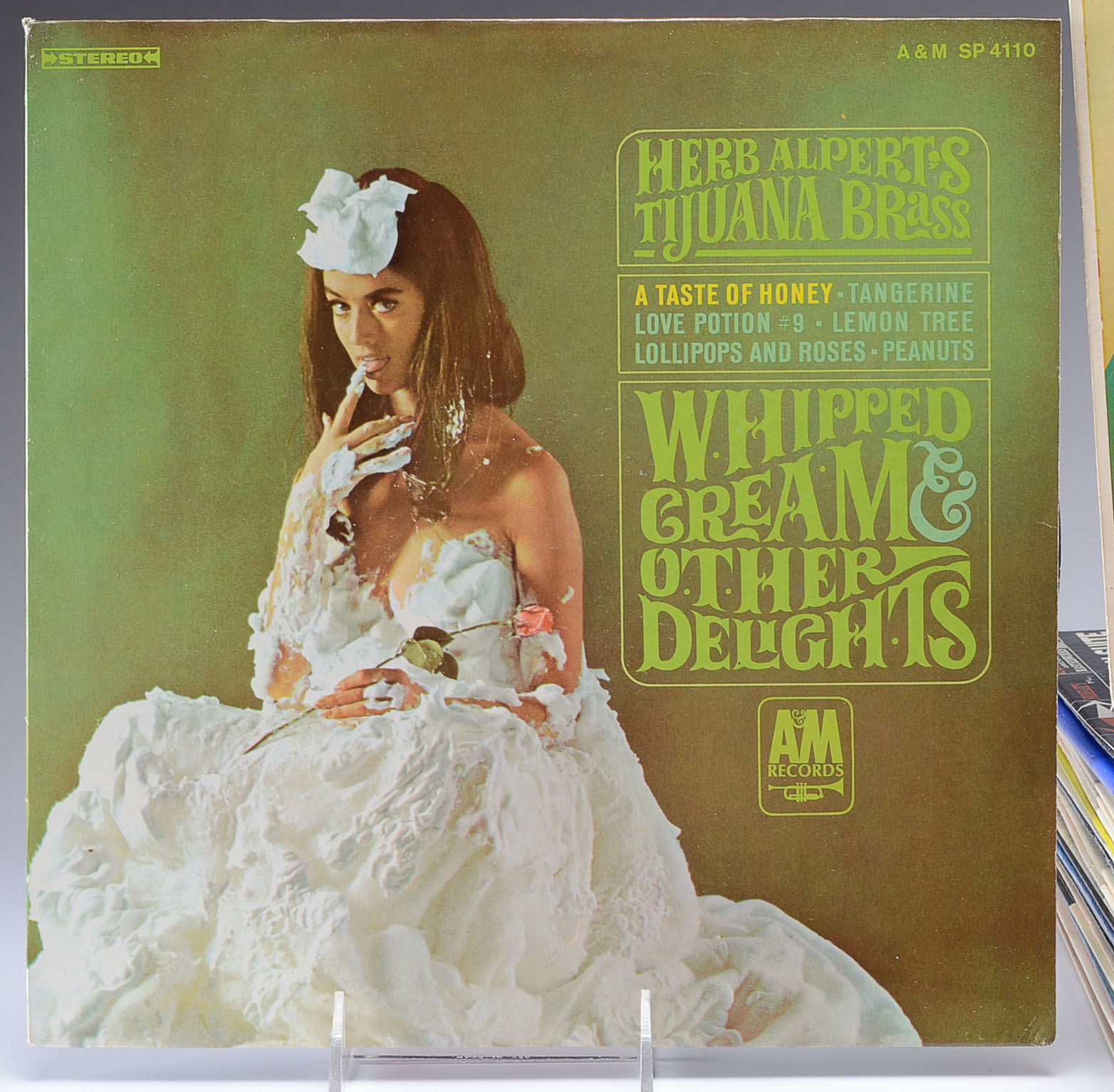 Vinyl Record Collection with Various Genres