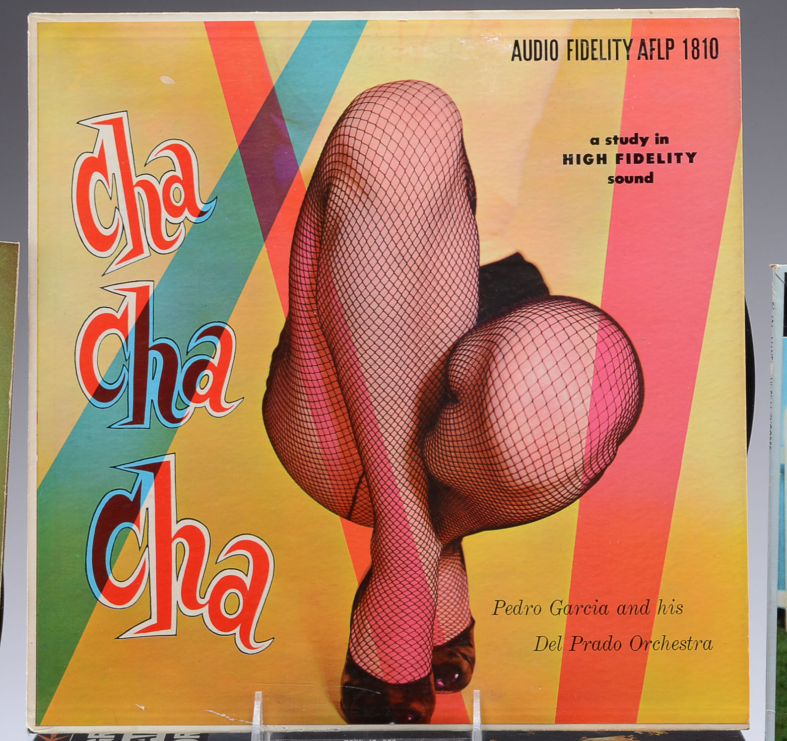 Vinyl Record Collection with Various Genres