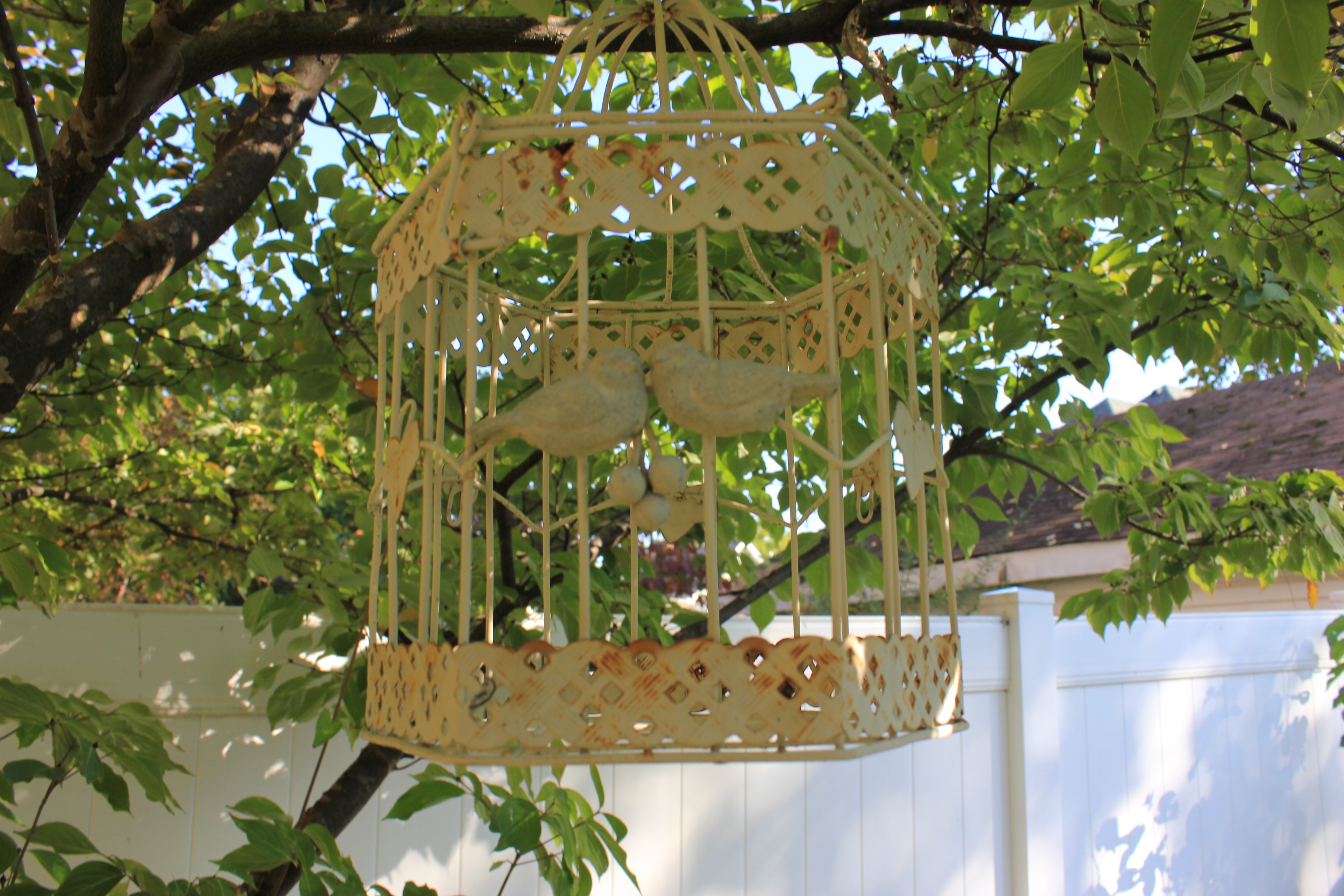 Collection of Vintage Shabby Chic Bird Cages and Garden Decor