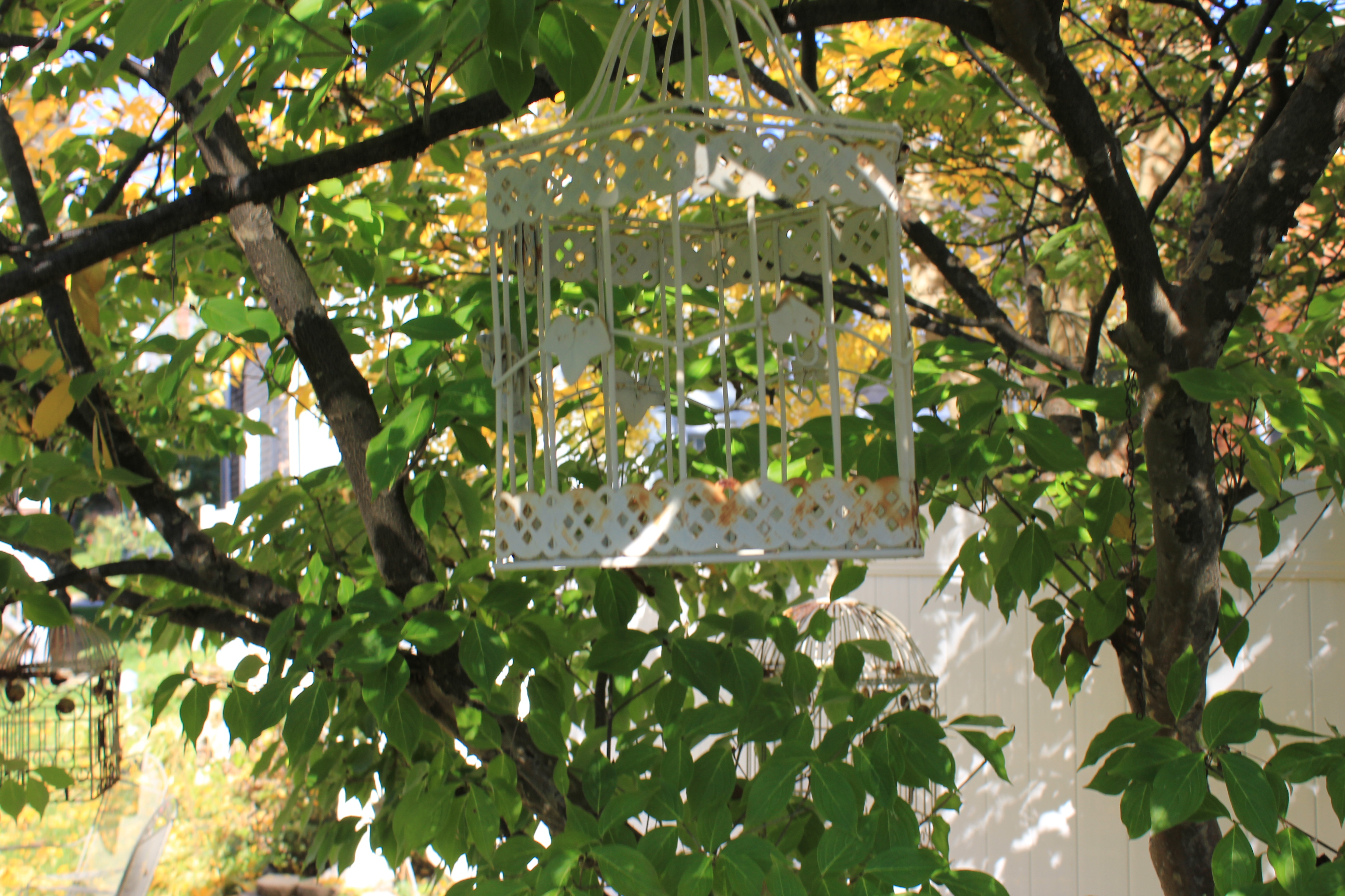 Collection of Vintage Shabby Chic Bird Cages and Garden Decor