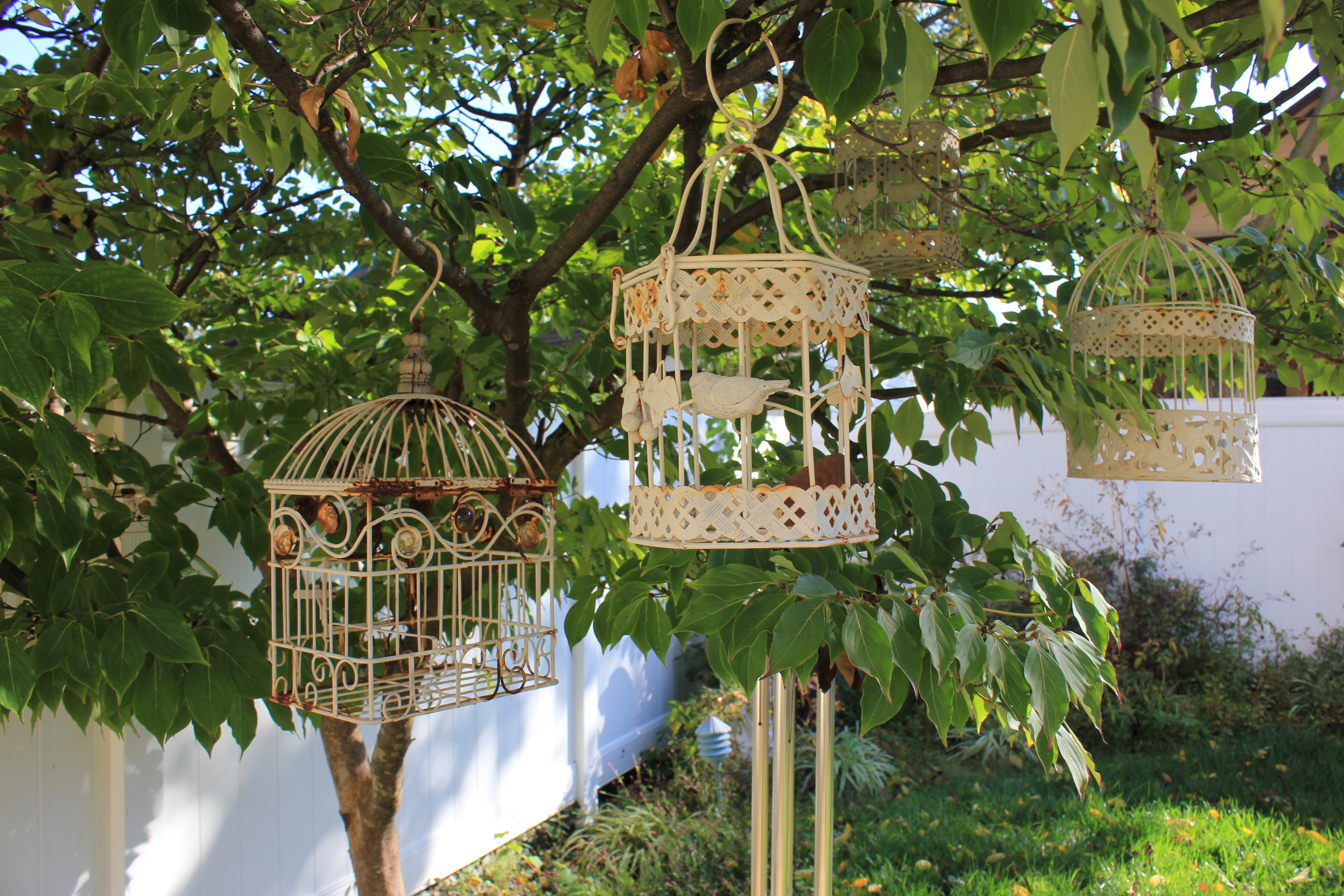 Collection of Vintage Shabby Chic Bird Cages and Garden Decor