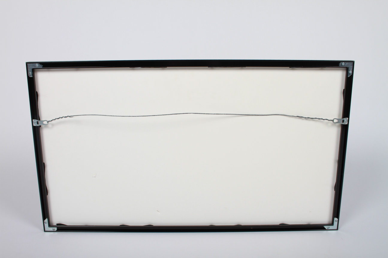 Autographed Lynyrd Skynyrd Album Cover