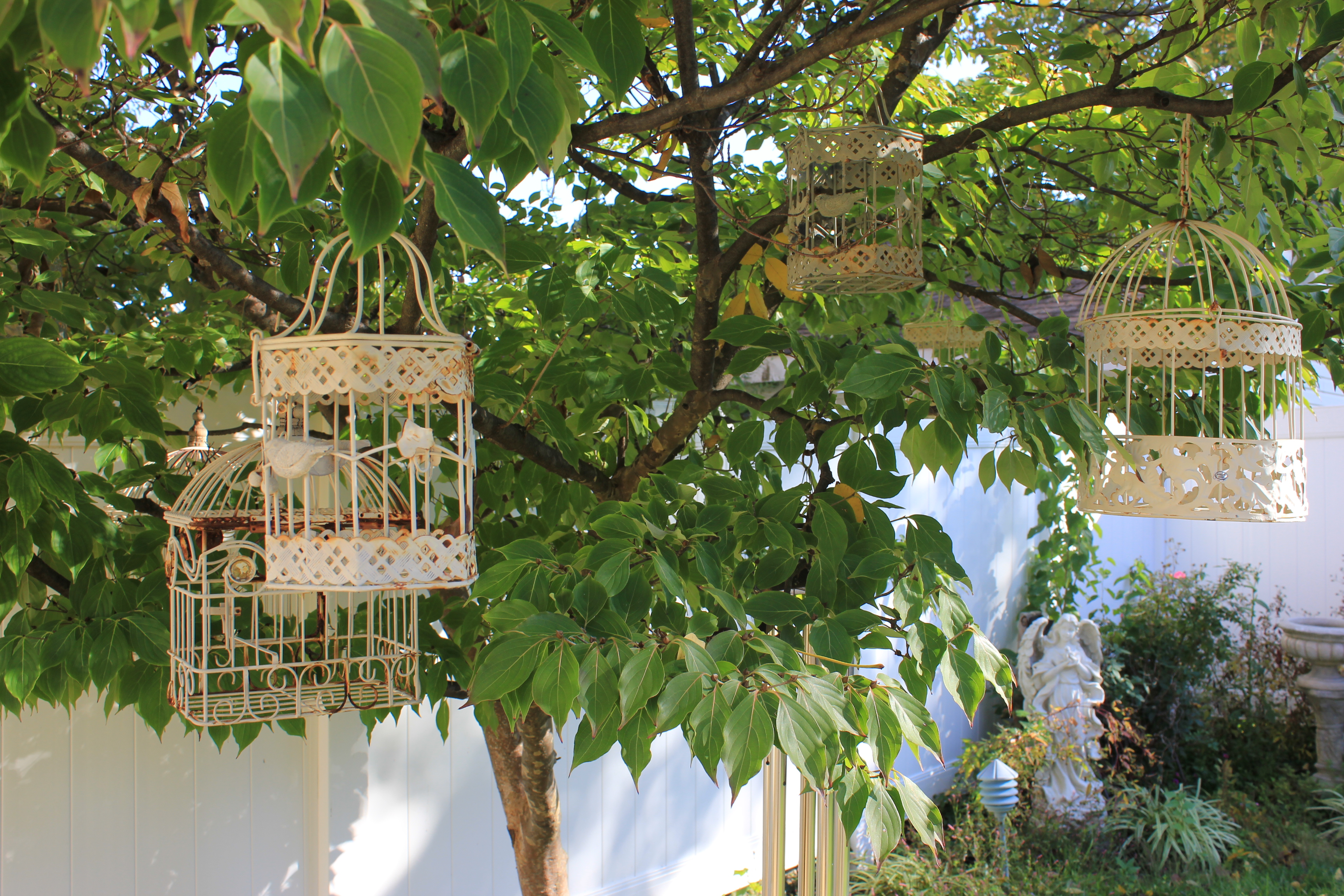 Collection of Vintage Shabby Chic Bird Cages and Garden Decor