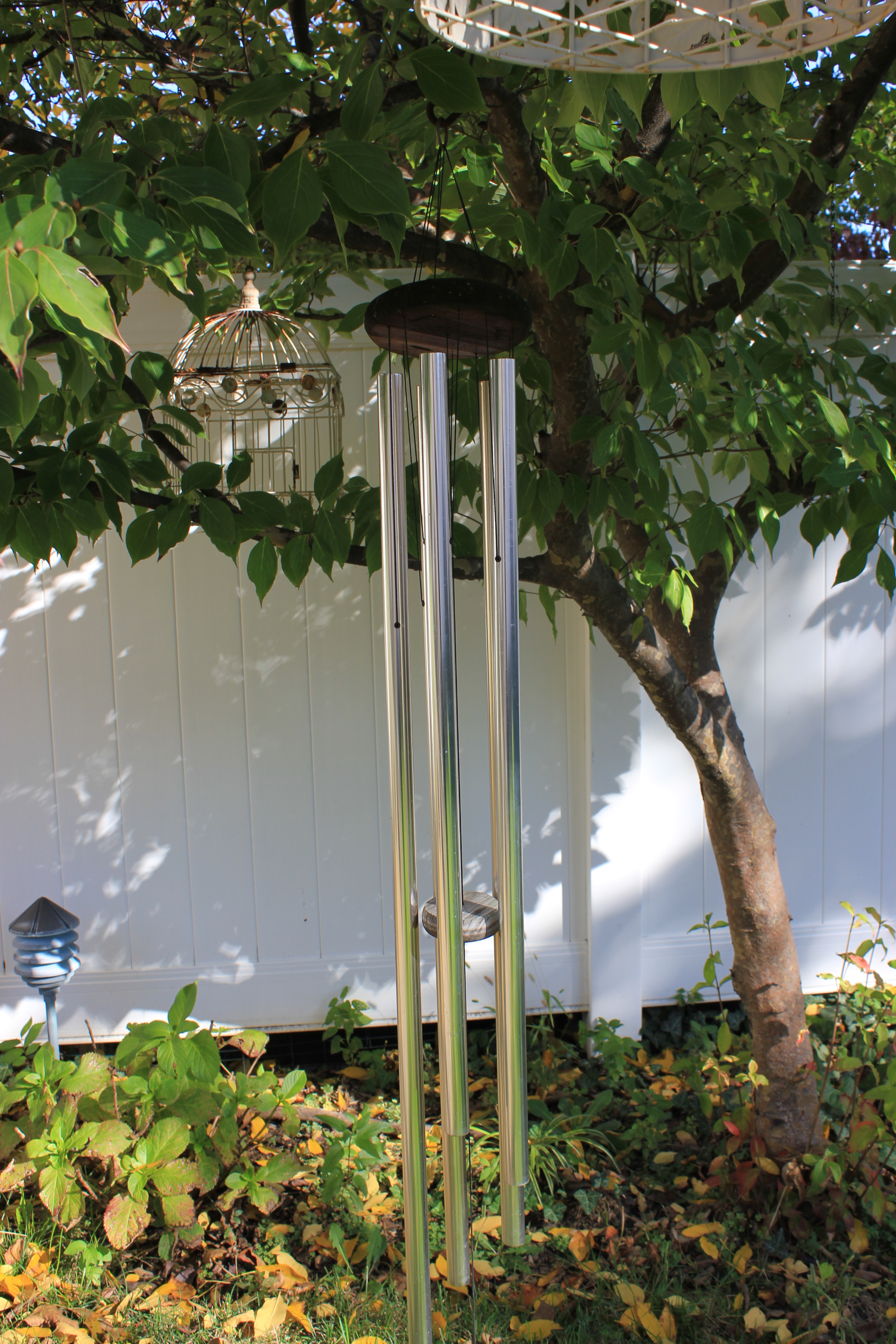 Collection of Vintage Shabby Chic Bird Cages and Garden Decor