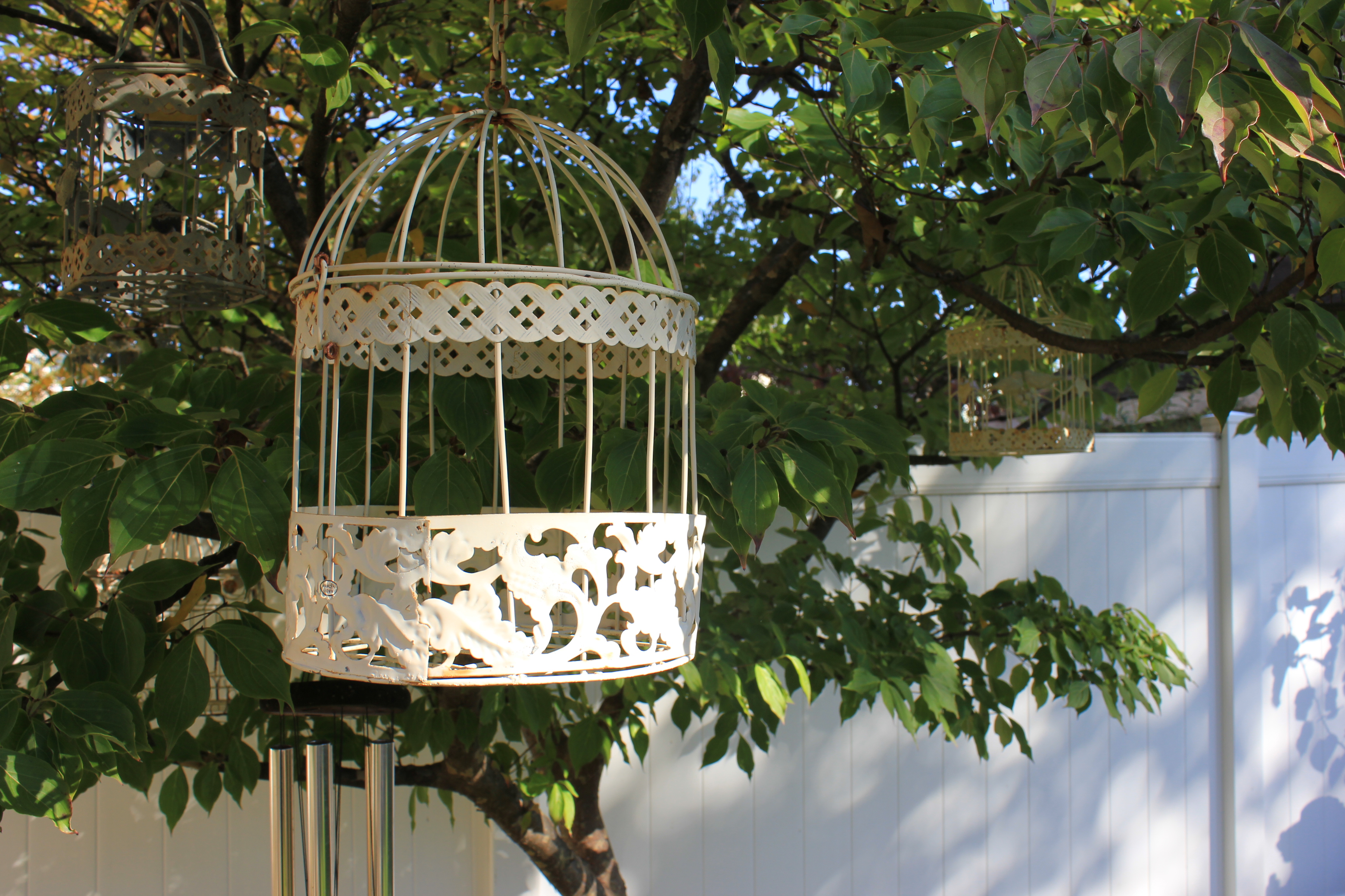 Collection of Vintage Shabby Chic Bird Cages and Garden Decor