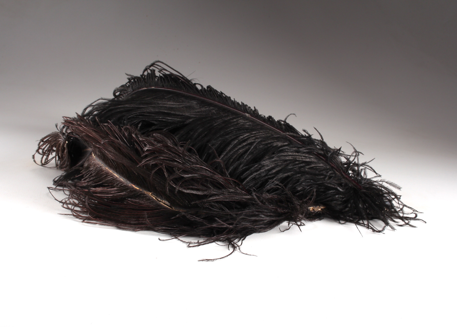 Two Antique Ostrich Plumes