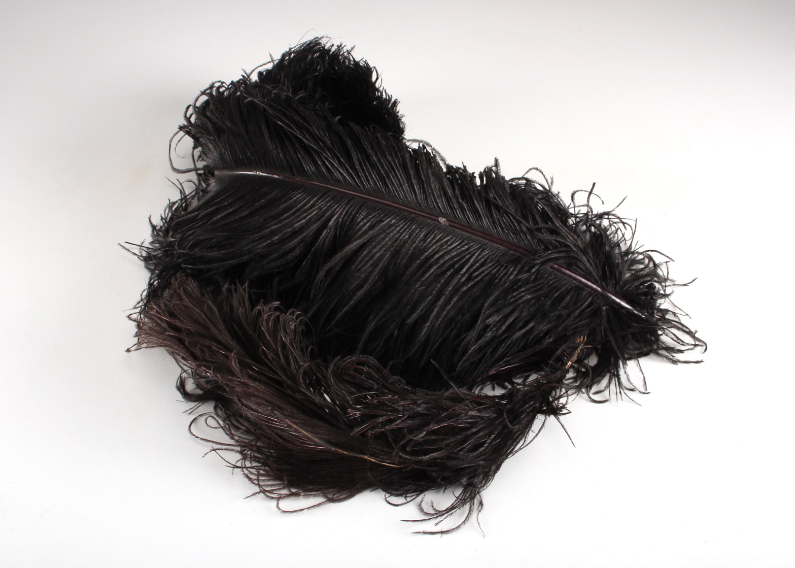 Two Antique Ostrich Plumes