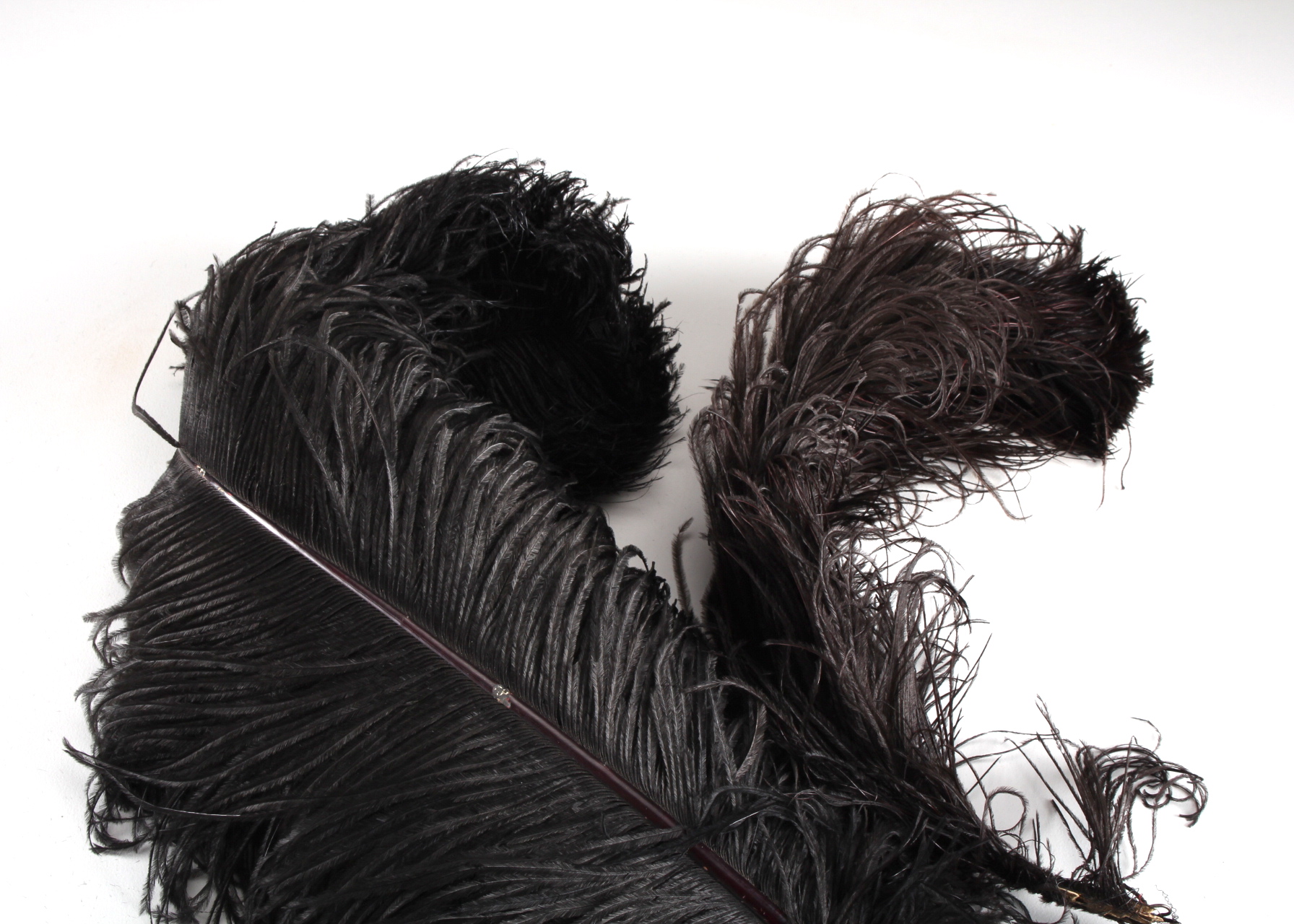 Two Antique Ostrich Plumes